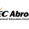 Iec abroad limited logo